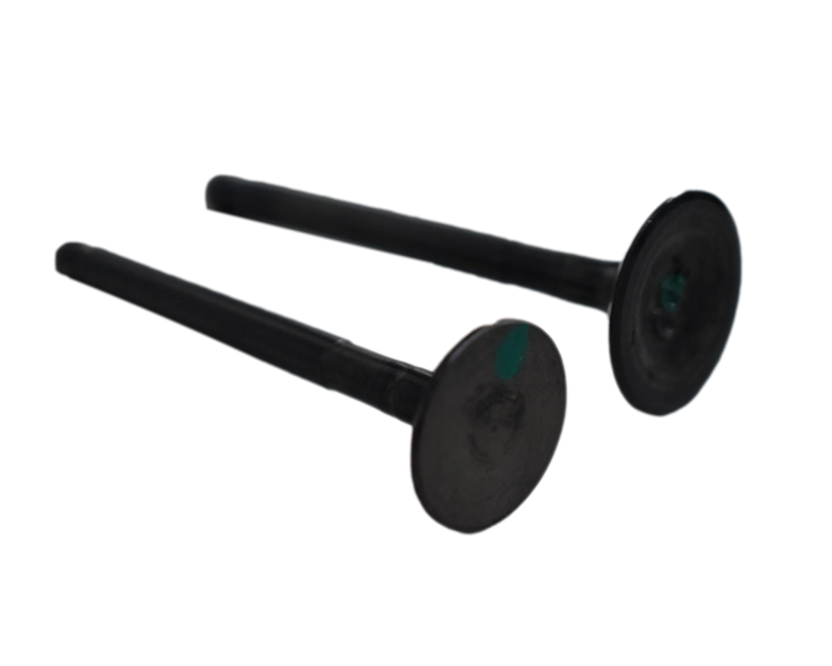 Kit de Valvulas Boxer 100 - Platina 100 Bajaj Original