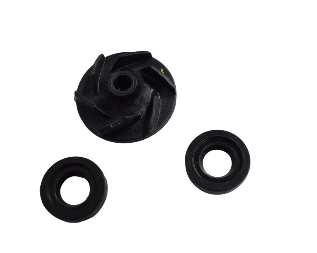 Kit Reten para Bomba de Agua Pulsar 200 AS/NS - Dominar 400 Bajaj Original
