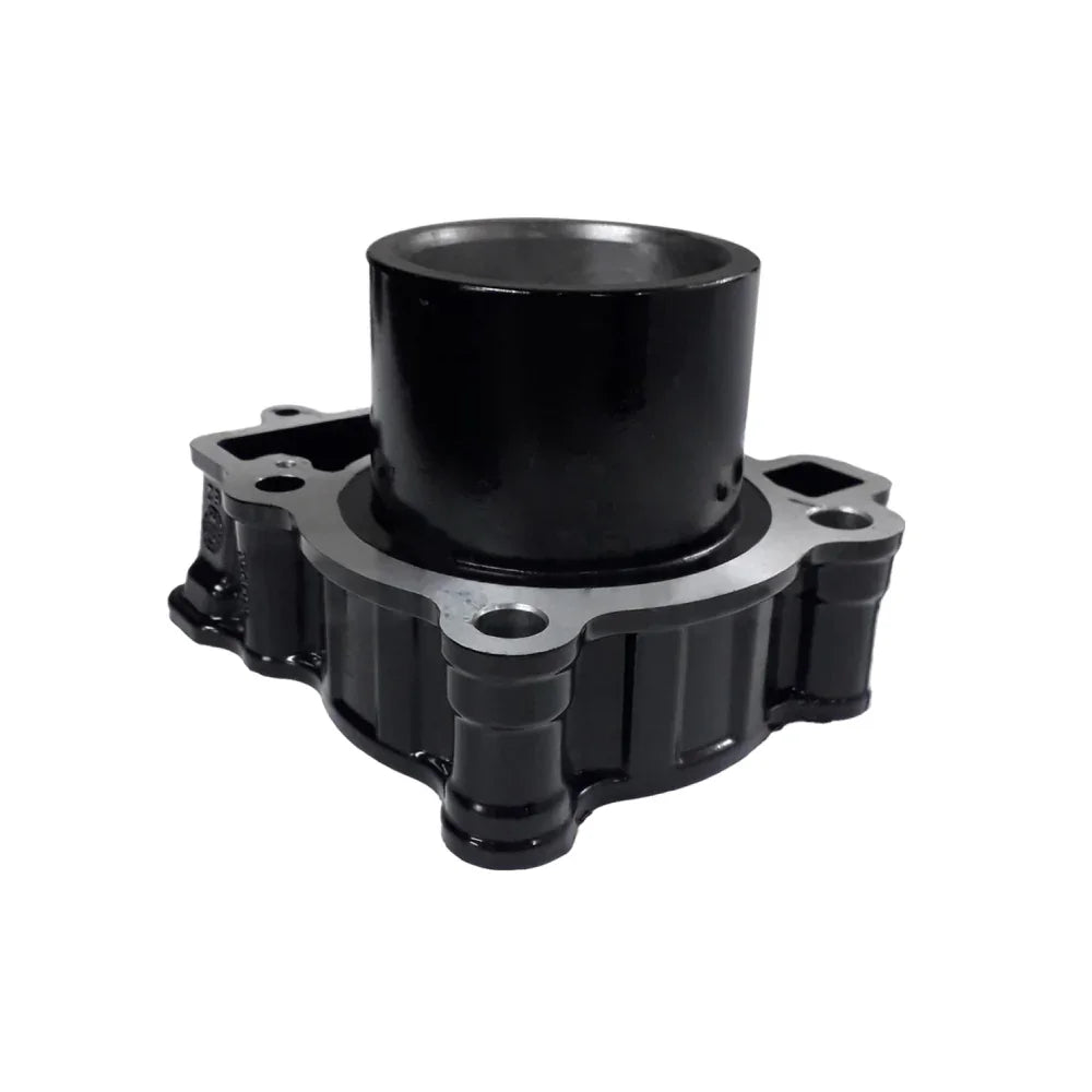 Kit de Cilindro Dominar 250 Bajaj Original