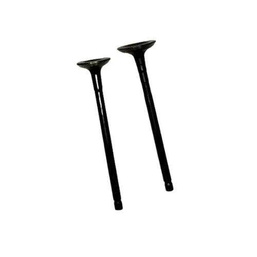 Kit de Valvulas Discover 125M/125ST Bajaj Original