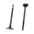 Kit Valvulas de Admision Platina 100 Bajaj Original