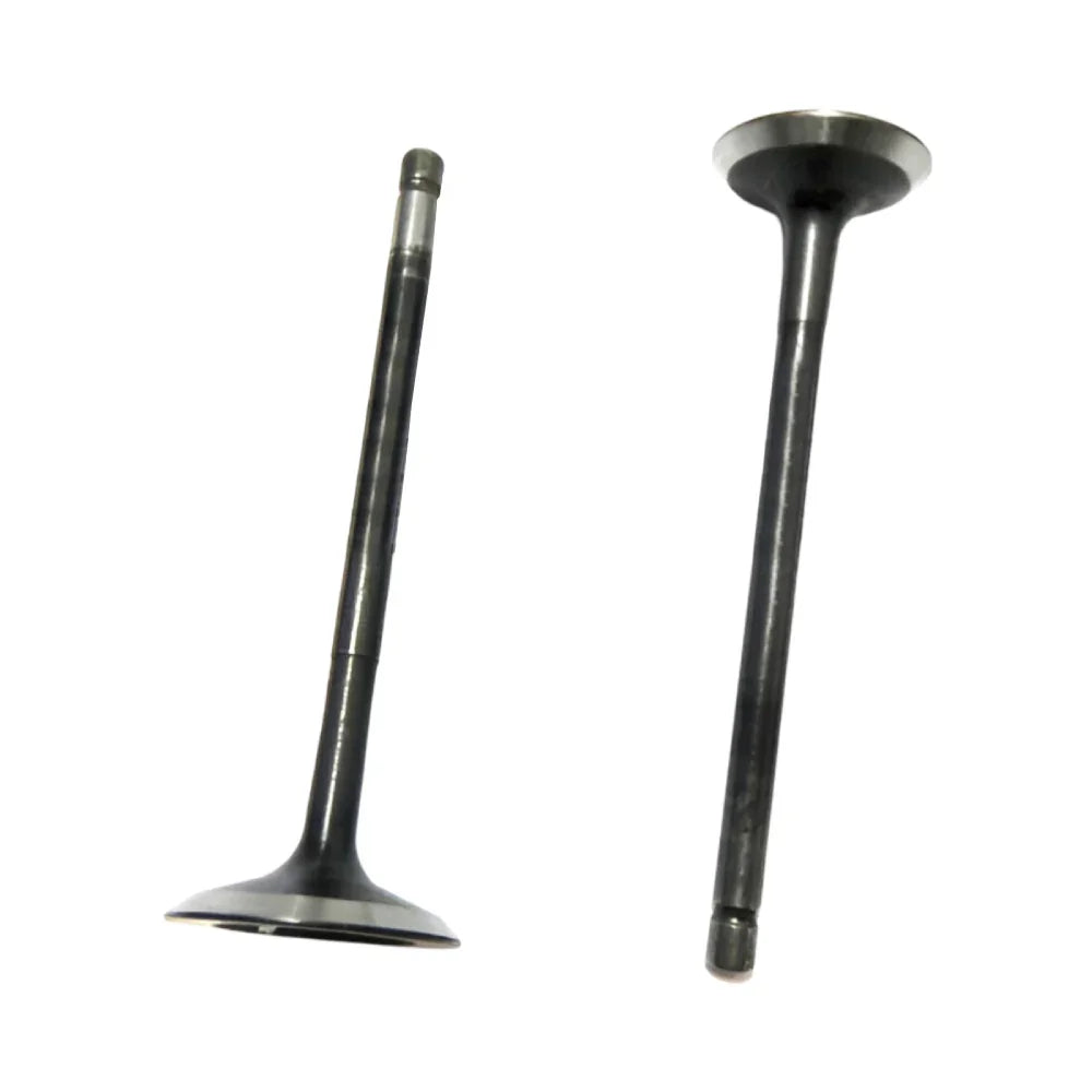Kit Valvulas de Admision Platina 100 Bajaj Original