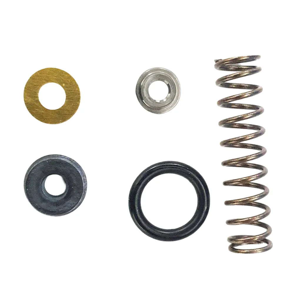 Juego de Reparacion Menor de Bomba de Freno Pulsar 200 RS Bajaj Original