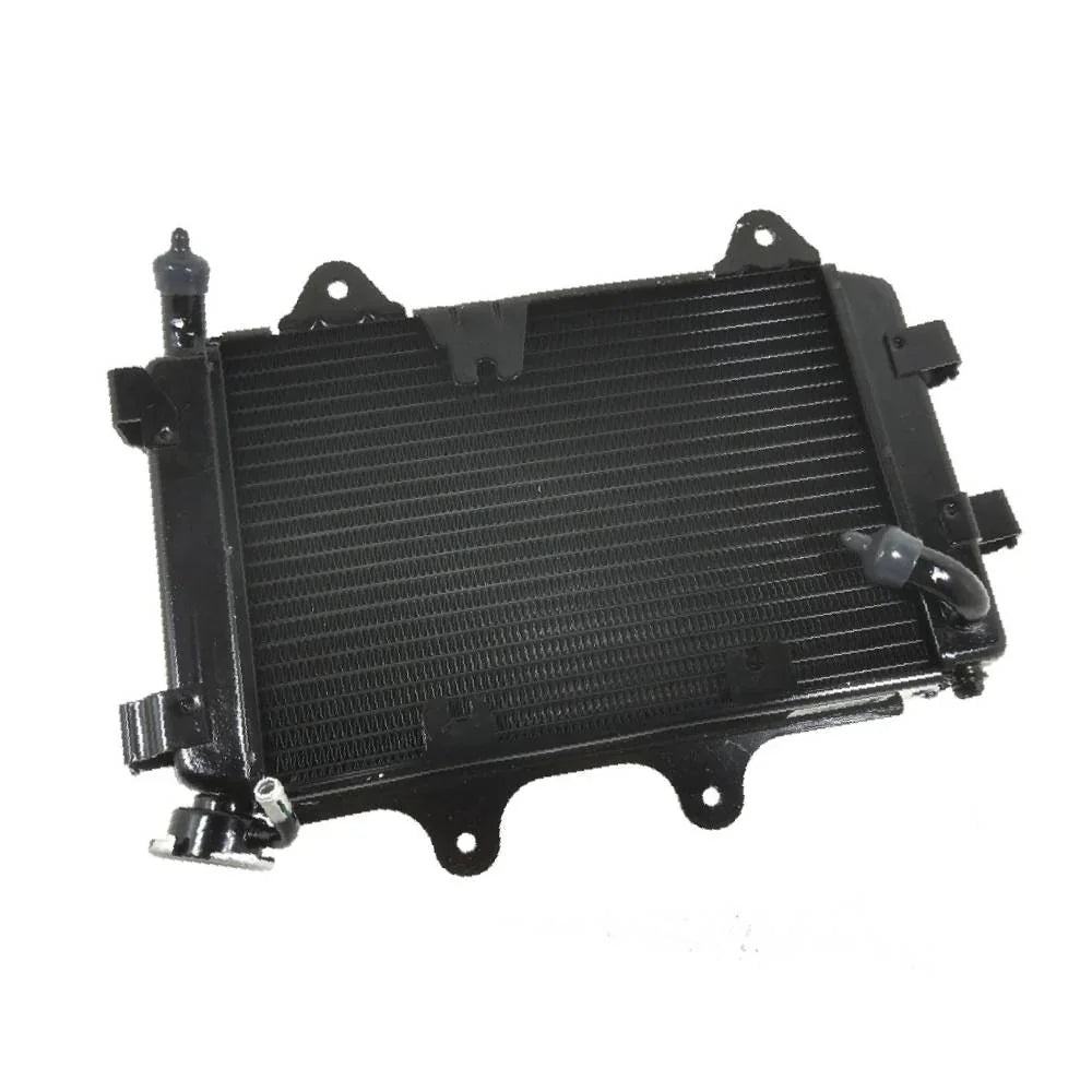 Radiador Dominar 400 Bajaj Original