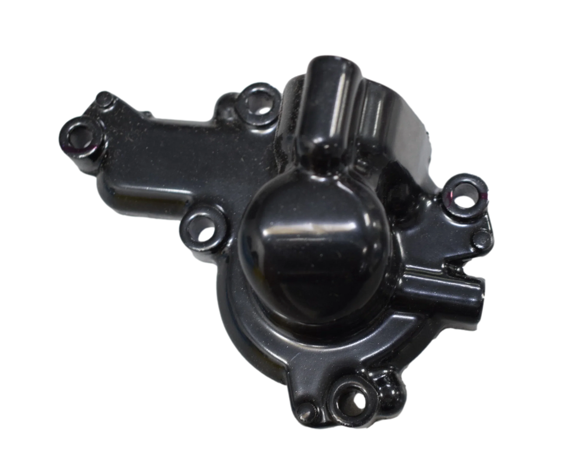 Cubierta para Bomba de Agua Pulsar 200 NS Bajaj Original