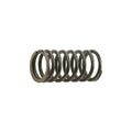 Resorte Interno de Valvula Ar 110 - Argenta 110 Italika Original