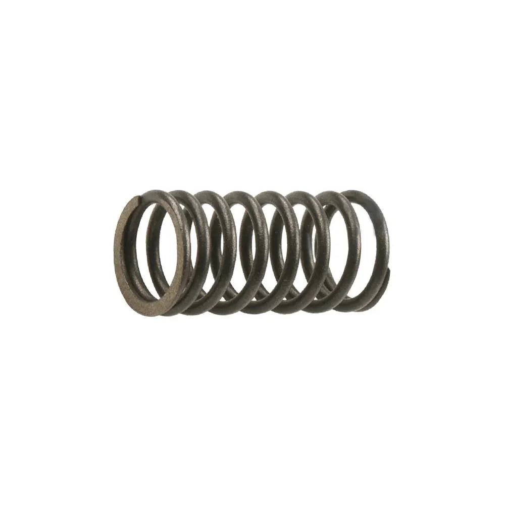 Resorte Interno de Valvula Ar 110 - Argenta 110 Italika Original