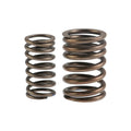 Conjunto Resorte de Valvulas V200 Italika Original