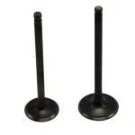Kit Valvulas de Motor 170Z - 200Z - 250Z - Dm 250 Generico Chino