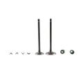 Kit Valvulas de Motor Dt 125 - Forza 125 - Ft 125 Italika Original