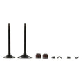 Kit Valvulas de Motor Ds 150 - Modena 150/175 - Trn 150 Italika Original