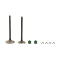 Kit Valvulas de Motor Ex 200 - Rt 200 Italika Original