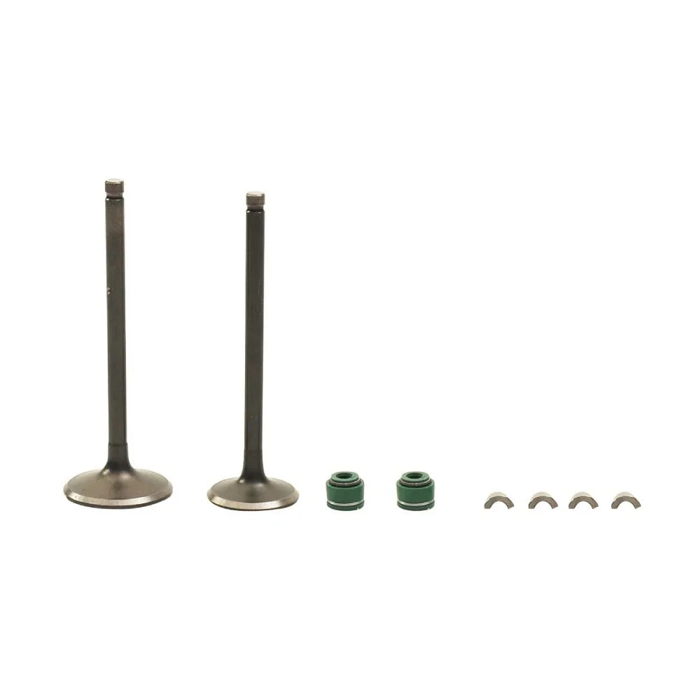 Kit Valvulas de Motor Ex 200 - Rt 200 Italika Original