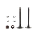Kit Valvulas de Motor D125 - Ds 125 - Vitalia 125 - X125 Italika Original
