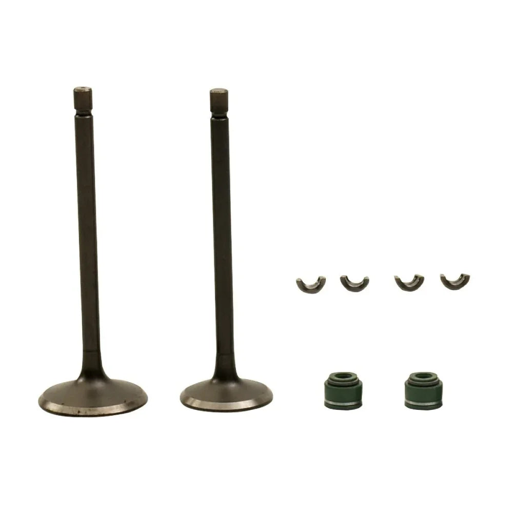 Kit Valvulas de Motor Dt 200 - Ft 200 Italika Original