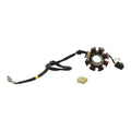 Plato de Bobinas 125Z - Dt 125 - Forza 125/150 Italika Original