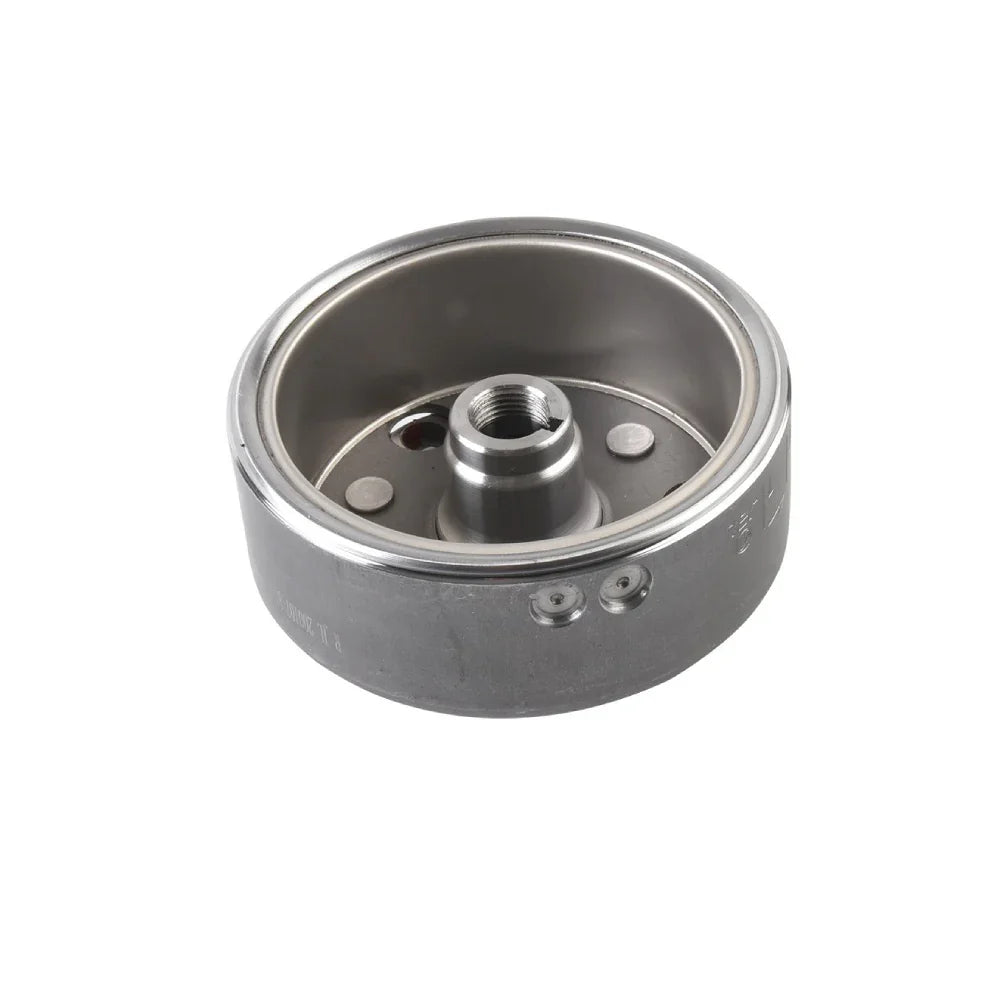 Magneto Blackbird - Vort-X 250 Italika Original