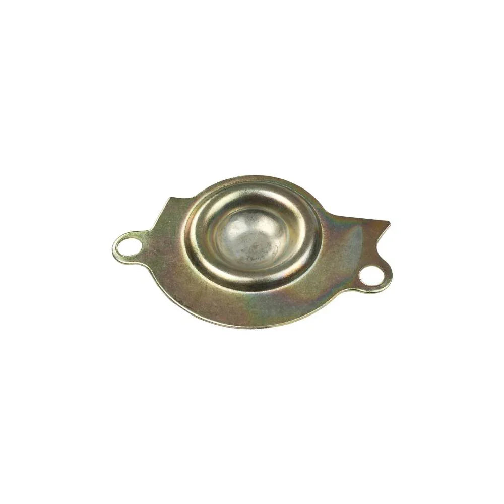 Placa de Cubierta de Bomba de Aceite Cs 125 Led Italika Original
