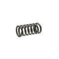 Resorte de Embrague Dt 150/200 Sport - Ft 180 Italika Original