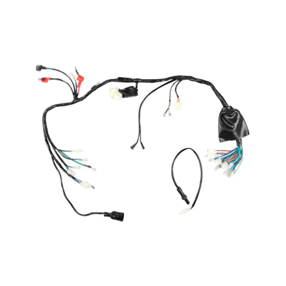 Arnes Principal Dm 200 (2014-24) Italika Original