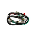 Arnes Principal Dt 150 Delivery - Ft 150 Delivery Italika Original