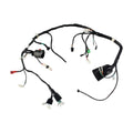 Arnes Principal Ft 200 Ts (2019-24) Italika Original