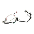 Arnes Principal Sptfire Italika Original