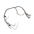 Arnes Principal con Conector USB Ws 175 Sport Italika Original