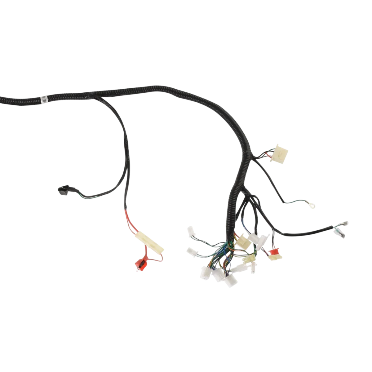 Arnes Principal Ws 150 Sport (2022-23) Italika Original
