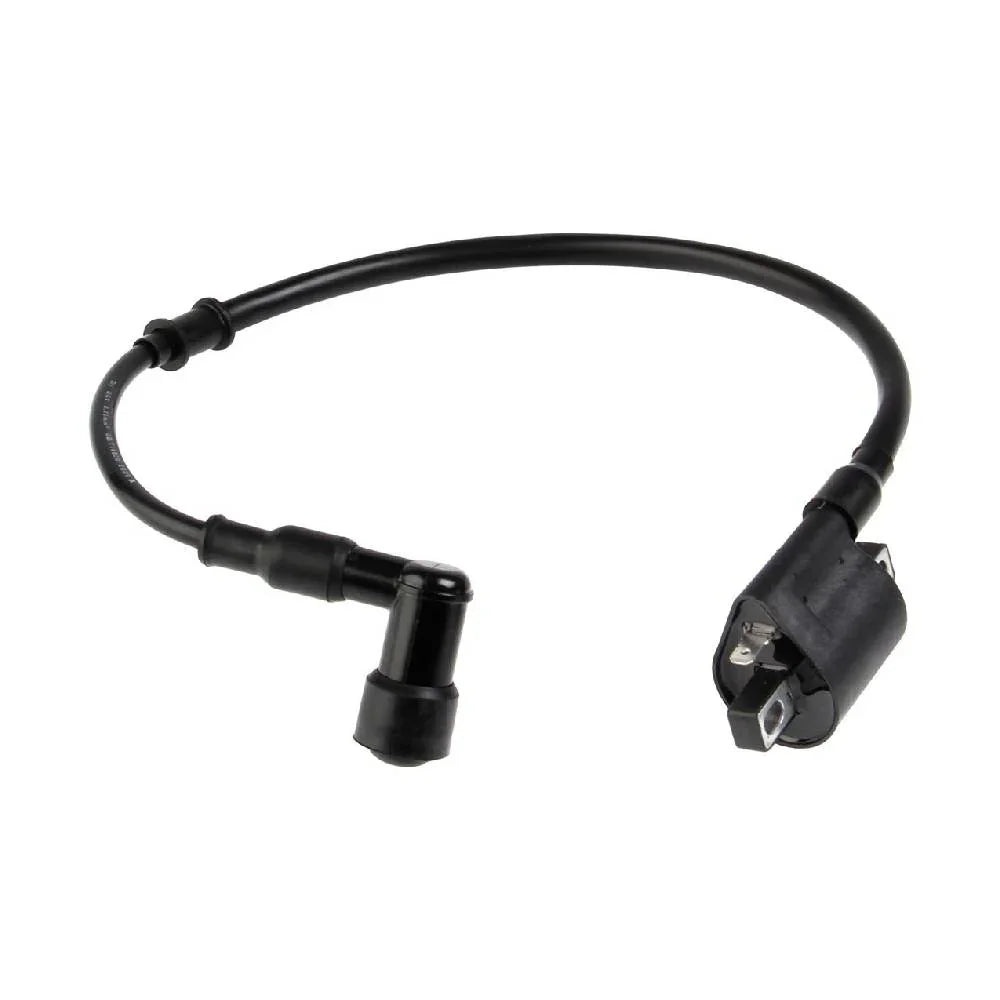 Bobina de Encendido 125FL - 125Z - Dt 125/150 Italika Original