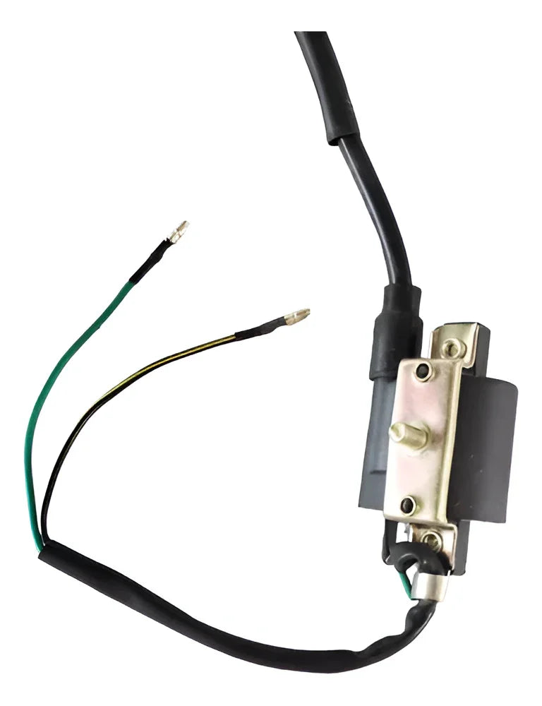 Bobina de Encendido T-Rex 70 Italika Original
