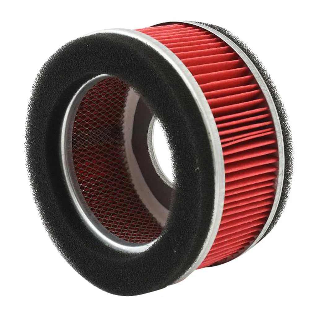 Elemento Filtro de Aire Ds 125 (2017-18) - Gs 150 (2010-13) Generico Chino