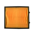 Filtro de Aire Vort-X 250 Italika Original