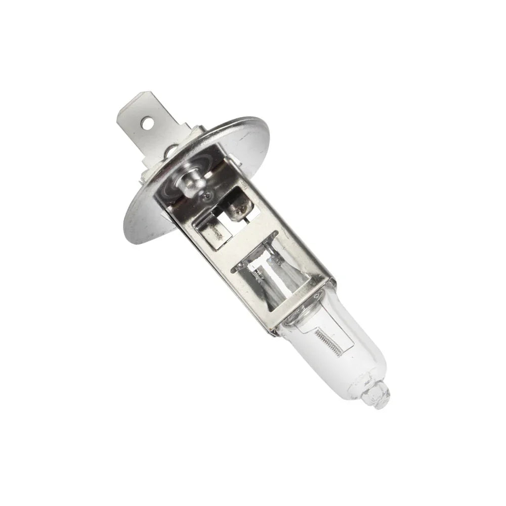 Foco Lupa (12V-55W) Italika Original